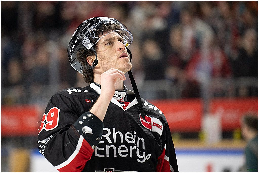PENNY DEL; Koelner Haie-Duesseldorfer EG ; Koeln, 16.02.2025